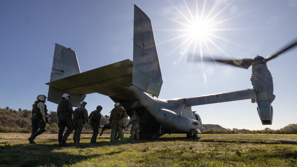 Aid From Above: Purple Foxes Conduct Mass Casualty Training