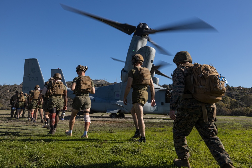 Aid From Above: Purple Foxes Conduct Mass Casualty Training