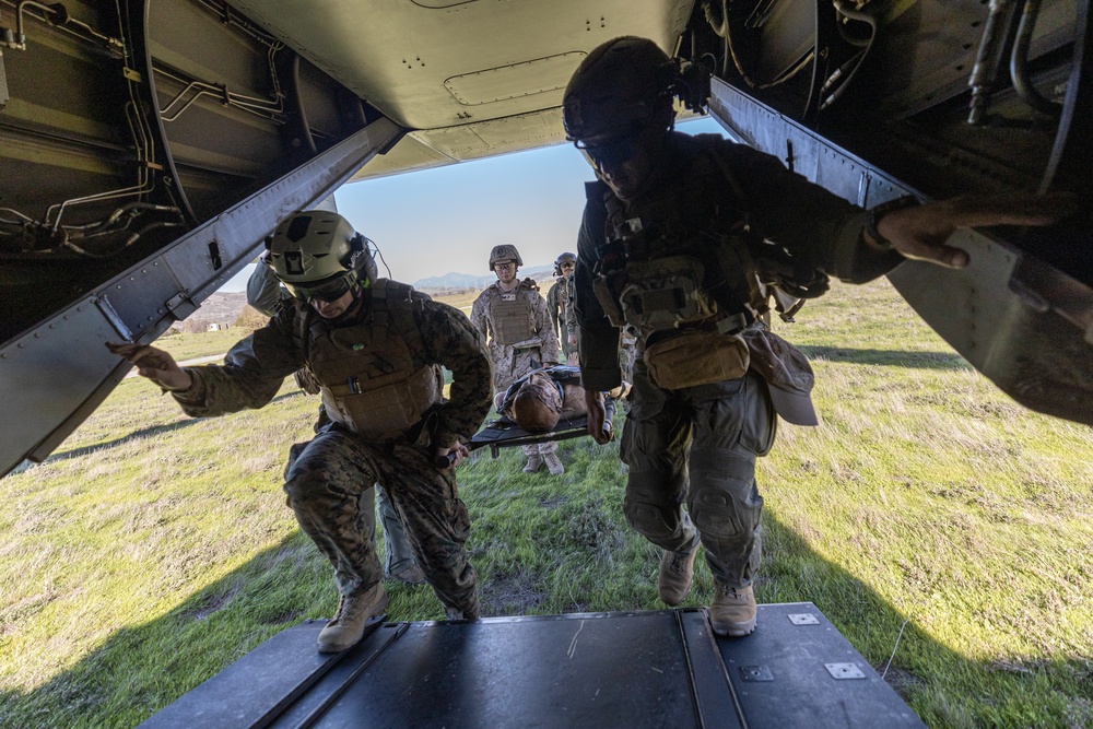 Aid From Above: Purple Foxes Conduct Mass Casualty Training