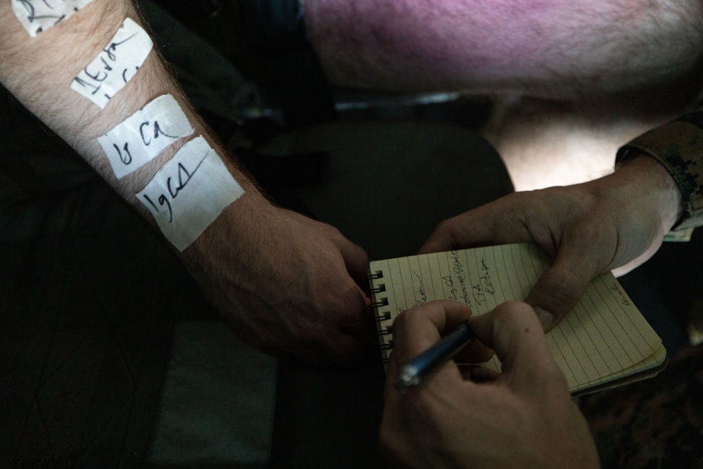 Aid From Above: Purple Foxes Conduct Mass Casualty Training