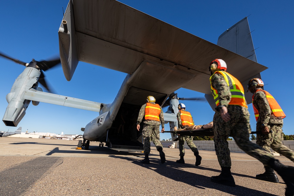 Aid From Above: Purple Foxes Conduct Mass Casualty Training
