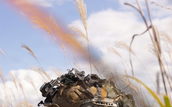 U.S. Marines Execute Defensive Operations during Shinka 25