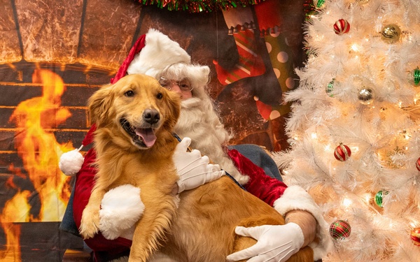 Misawa Santa Paws 2025