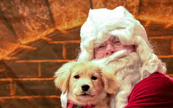 Misawa Santa Paws 2025