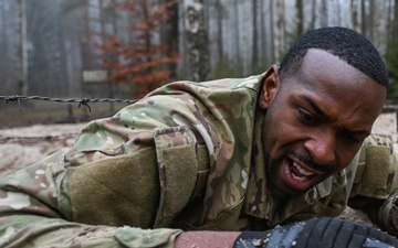 41st FA Brigade Best By Test