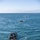 2nd Assault Amphibian Battalion completes Naval Integration Training Package 2