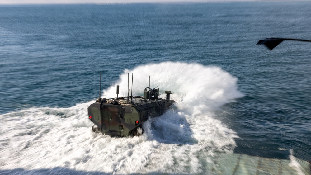 2nd Assault Amphibian Battalion completes Naval Integration Training Package 2