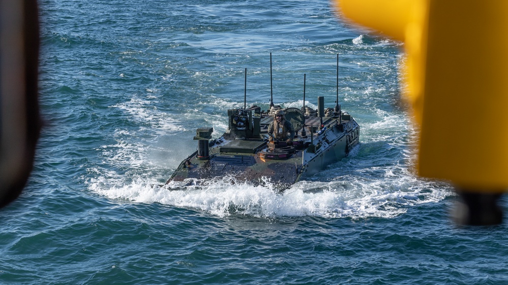 2nd Assault Amphibian Battalion completes Naval Integration Training Package 2