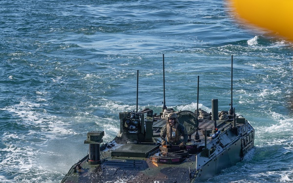 2nd Assault Amphibian Battalion completes Naval Integration Training Package 2