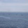 2nd Assault Amphibian Battalion completes Naval Integration Training Package 2