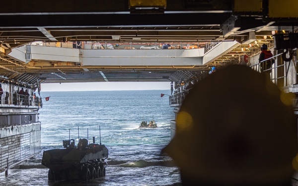 2nd Assault Amphibian Battalion completes Naval Integration Training Package 2