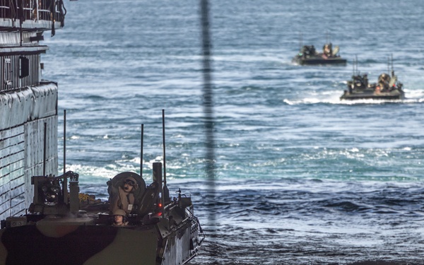 2nd Assault Amphibian Battalion completes Naval Integration Training Package 2