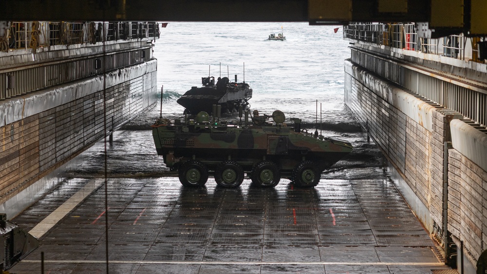 2nd Assault Amphibian Battalion completes Naval Integration Training Package 2