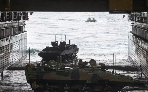 2nd Assault Amphibian Battalion completes Naval Integration Training Package 2