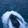 2nd Assault Amphibian Battalion completes Naval Integration Training Package 2