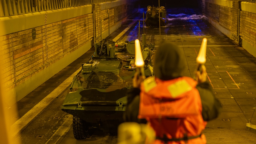 2nd Assault Amphibian Battalion completes Naval Integration Training Package 2