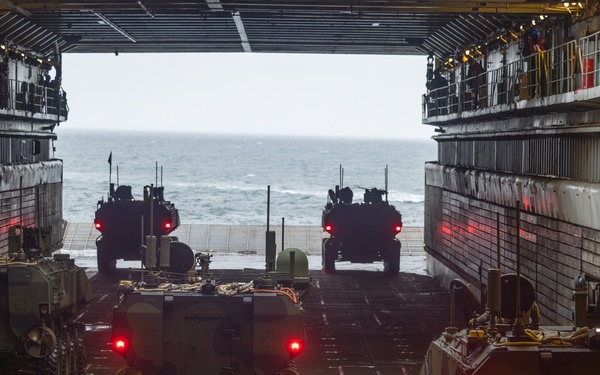 2nd Assault Amphibian Battalion completes Naval Integration Training Package 2