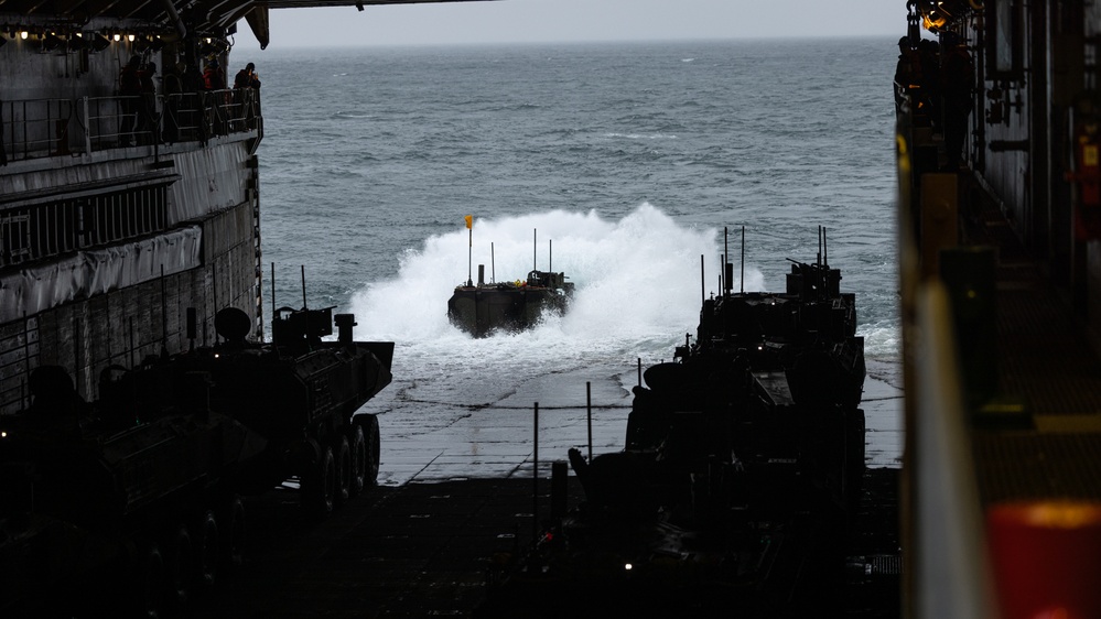 2nd Assault Amphibian Battalion completes Naval Integration Training Package 2