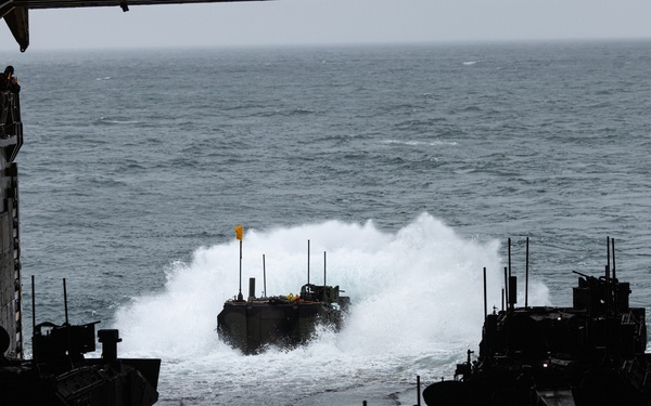 2nd Assault Amphibian Battalion completes Naval Integration Training Package 2