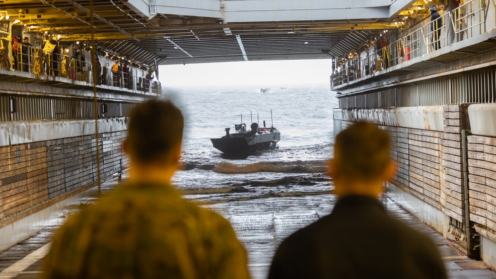2nd Assault Amphibian Battalion completes Naval Integration Training Package 2
