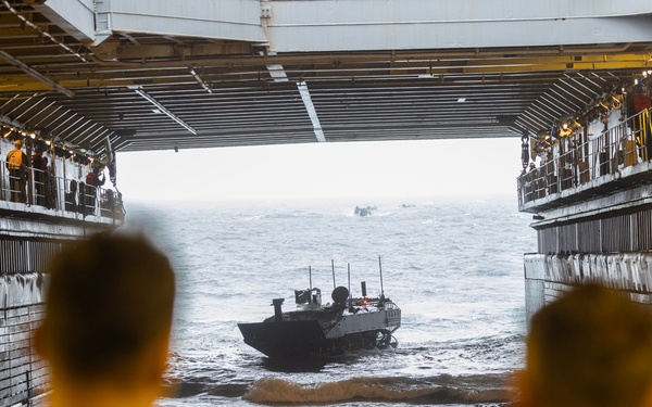 2nd Assault Amphibian Battalion completes Naval Integration Training Package 2