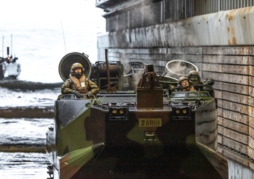 2nd Assault Amphibian Battalion completes Naval Integration Training Package 2