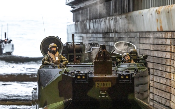 2nd Assault Amphibian Battalion completes Naval Integration Training Package 2