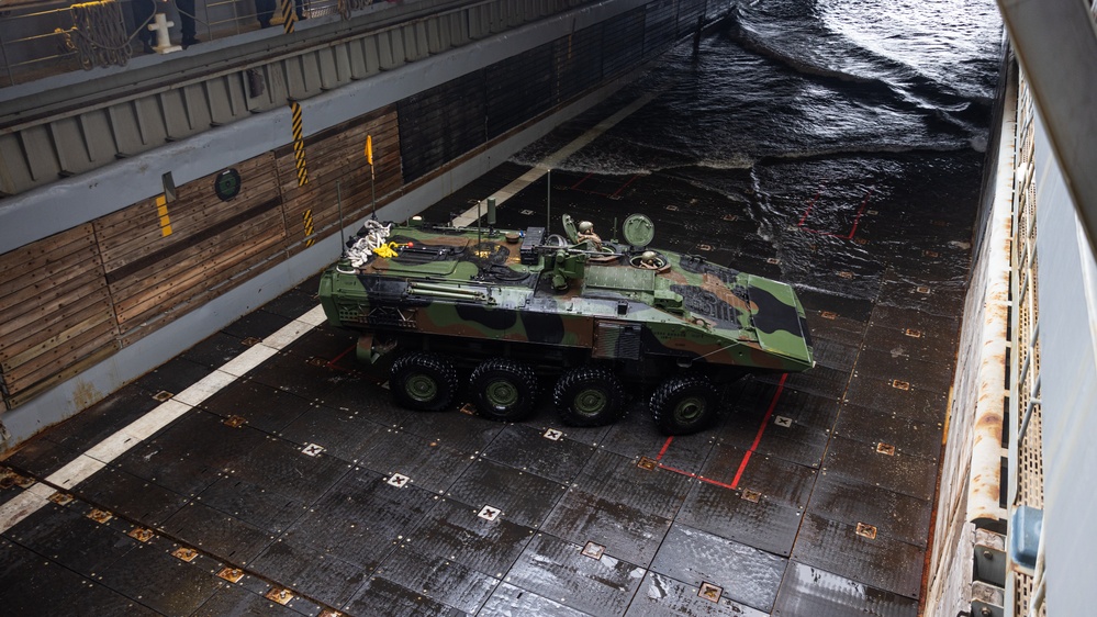 2nd Assault Amphibian Battalion completes Naval Integration Training Package 2