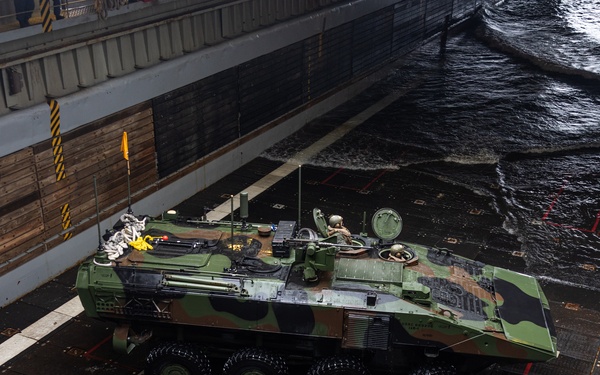 2nd Assault Amphibian Battalion completes Naval Integration Training Package 2