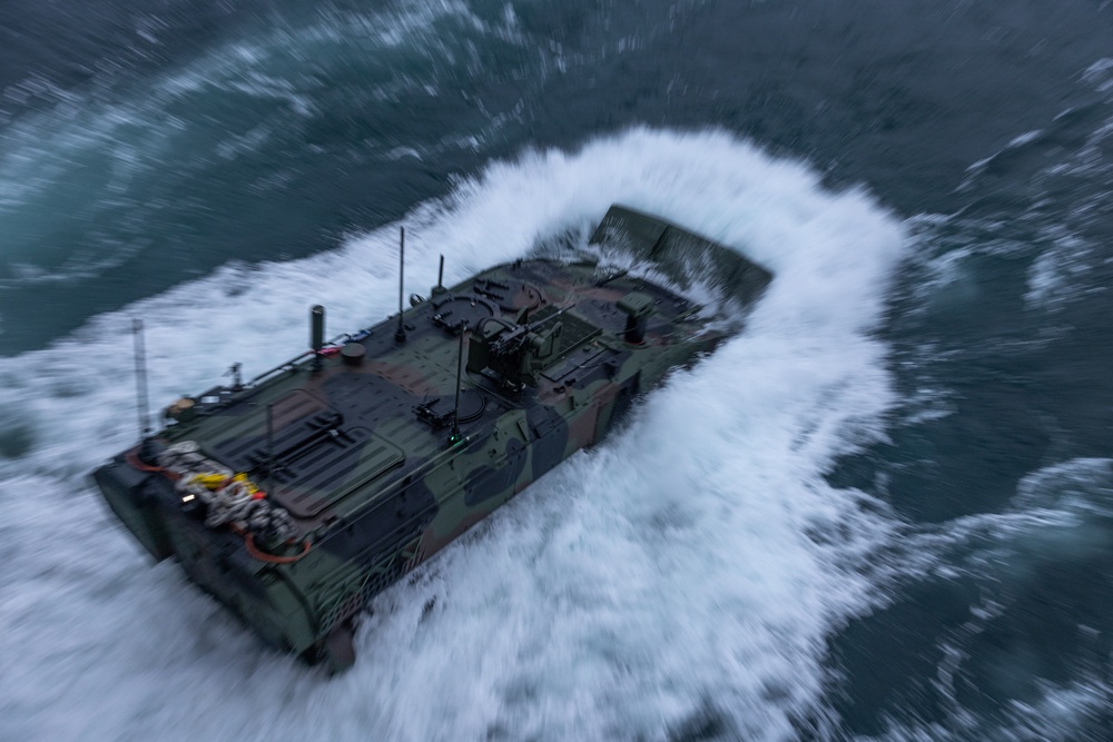 2nd Assault Amphibian Battalion completes Naval Integration Training Package 2