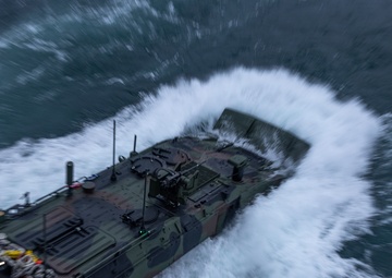 2nd Assault Amphibian Battalion completes Naval Integration Training Package 2