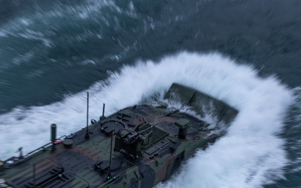 2nd Assault Amphibian Battalion completes Naval Integration Training Package 2