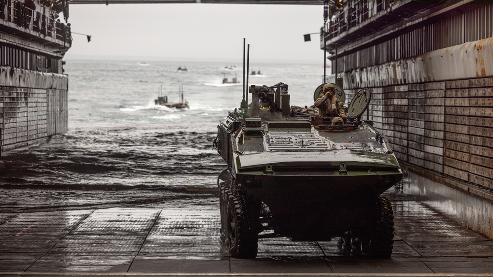 2nd Assault Amphibian Battalion completes Naval Integration Training Package 2