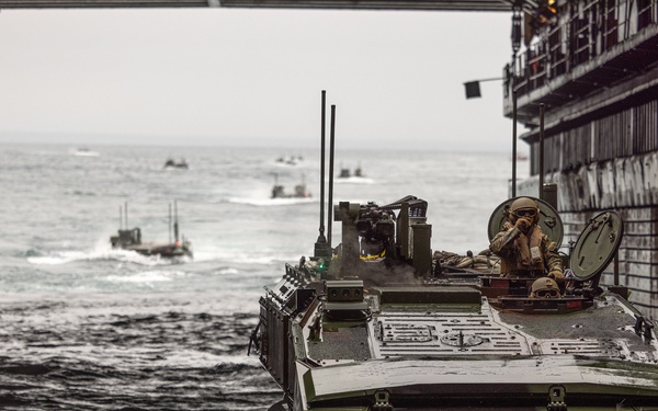 2nd Assault Amphibian Battalion completes Naval Integration Training Package 2