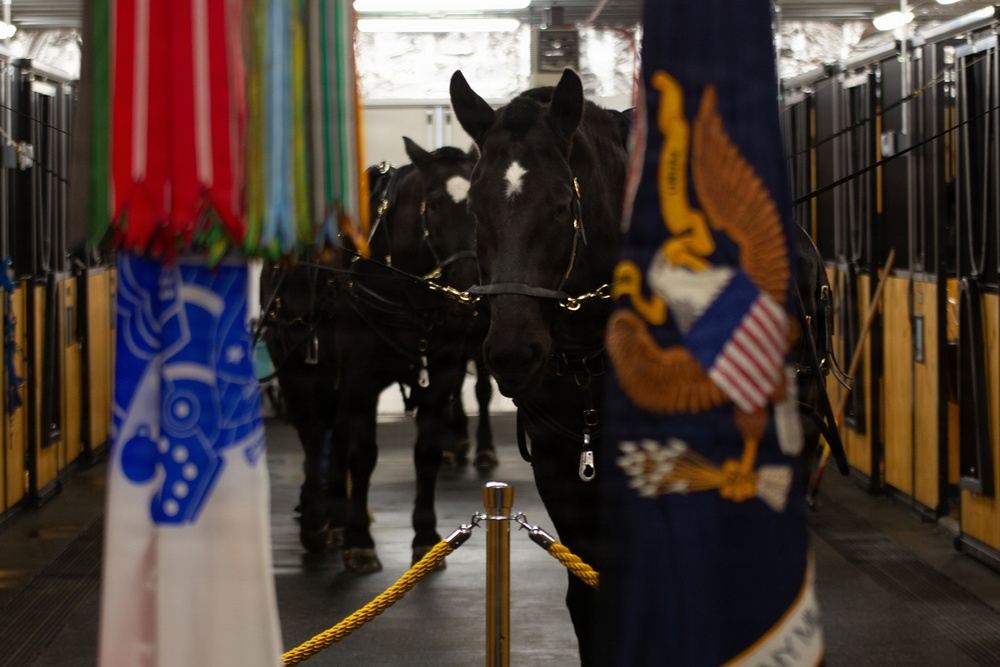 Ribbon Cutting Ceremony Officially Opens Old Guard Interim Stables