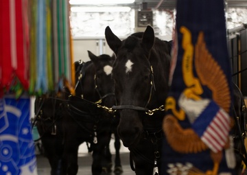 Ribbon Cutting Ceremony Officially Opens Old Guard Interim Stables