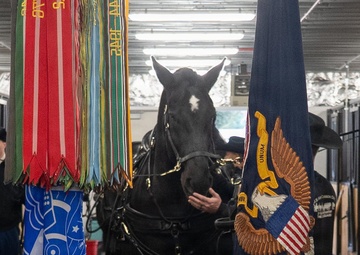 Ribbon Cutting Ceremony Officially Opens Old Guard Interim Stables