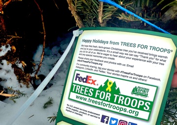 Trees for Troops deliver dozens of Christmas trees for Fort McCoy families for 2025 holiday season