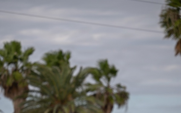 Guardian Arena 2025 - Day 2