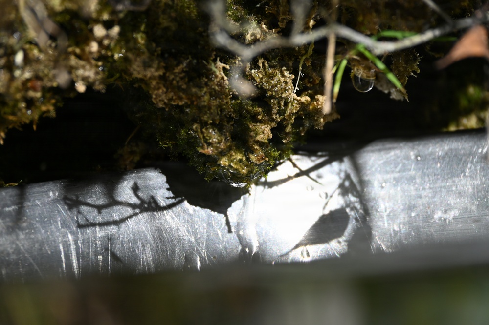 FUSRAP Guterl Steel Annual Groundwater Sampling