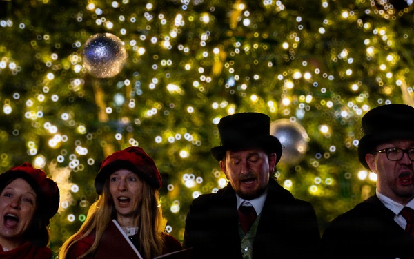 Holiday Tree Lighting: A Sparkling Night to Remember