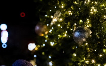 Holiday Tree Lighting: A Sparkling Night to Remember