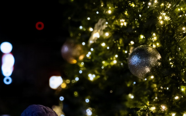 Holiday Tree Lighting: A Sparkling Night to Remember