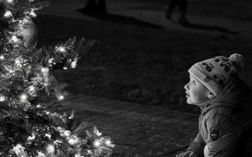 Holiday Tree Lighting: A Sparkling Night to Remember