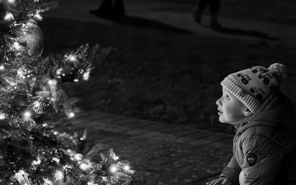 Holiday Tree Lighting: A Sparkling Night to Remember