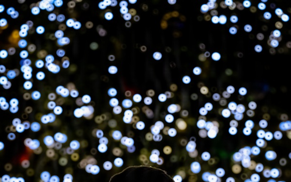 Holiday Tree Lighting: A Sparkling Night to Remember