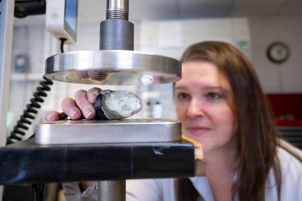 Margo Staruch in collaboration with VCU Develops Anatomically Accurate Rat Brain Phantom to Study Traumatic Brain Injury in Real Time