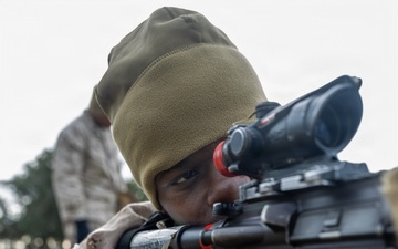 Hotel Company Grass Week