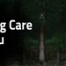 hero10_Taking_Care_of _You.jpg