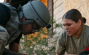 2025 Diamondback Medic Rodeo